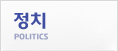 정치