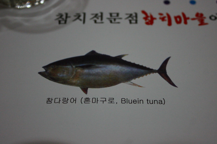 참치이야기 이미지
