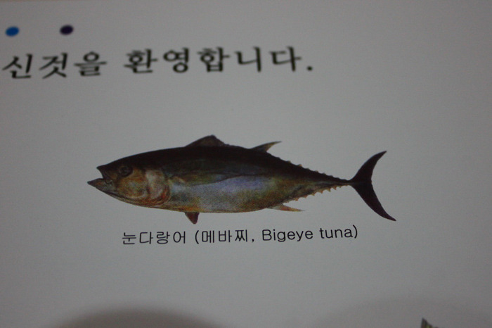 참치이야기 이미지