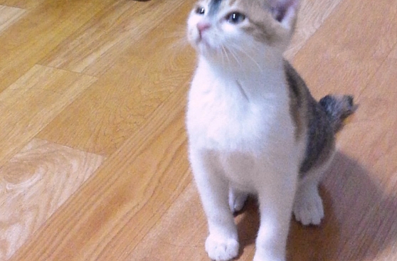 더블클릭을 하시면 이미지를 수정할 수 있습니다