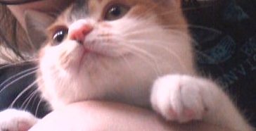 더블클릭을 하시면 이미지를 수정할 수 있습니다