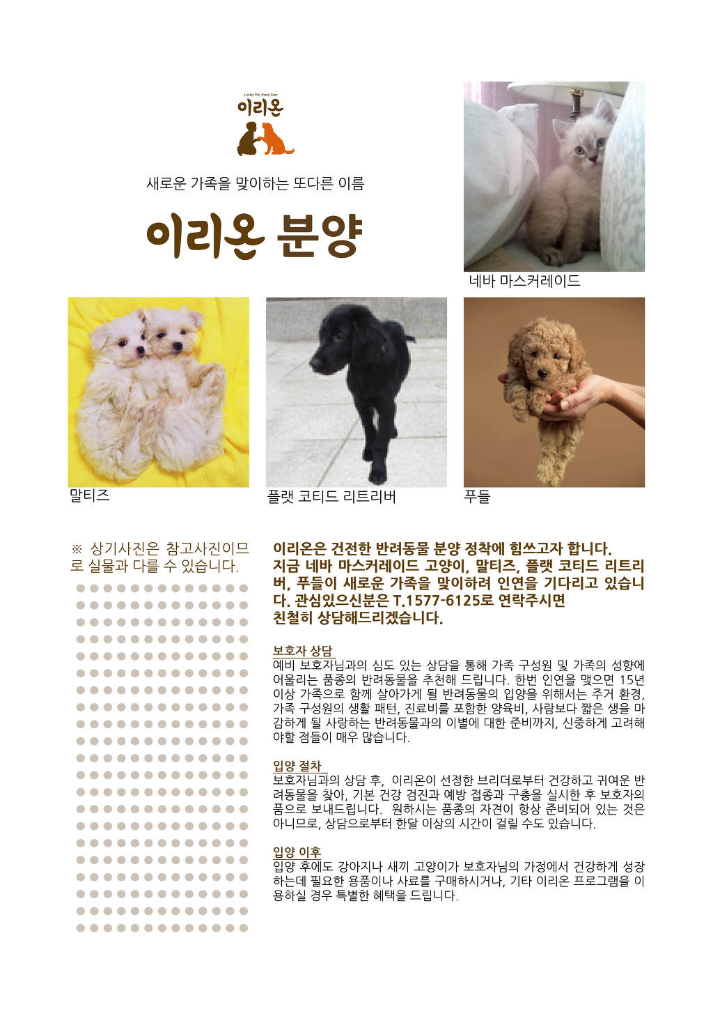 이리온 이미지