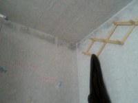 서울 당산동 주변에서 마녀몰이 당하고 있어요.._10