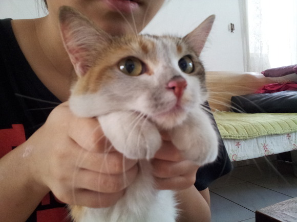 보리네일 이미지