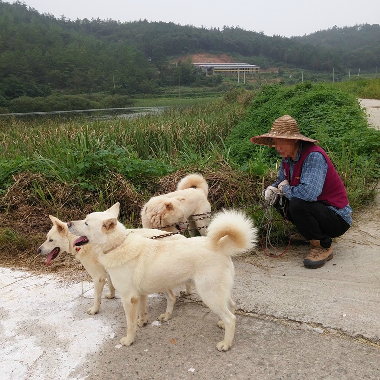 서운농장 이미지