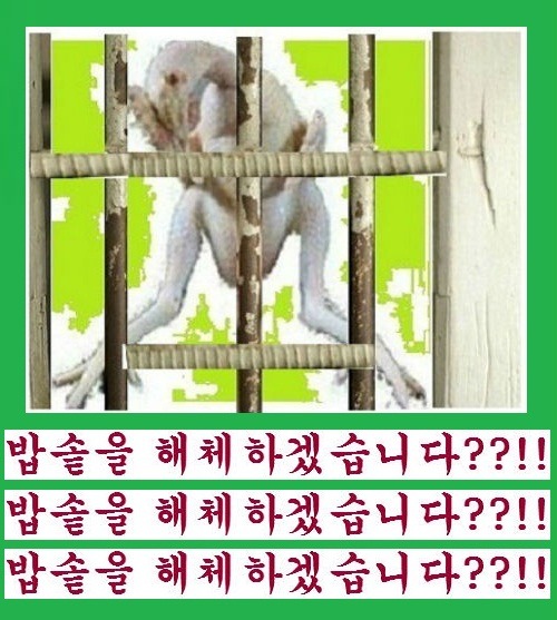 기리 이미지