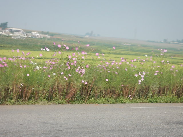 54D053883919070002