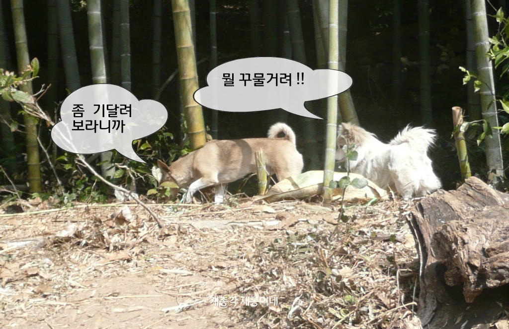 오늘산책 이미지