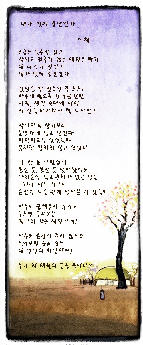 내가 벌써 중년인가, 중년의 어느날, 2편 / 이채시인