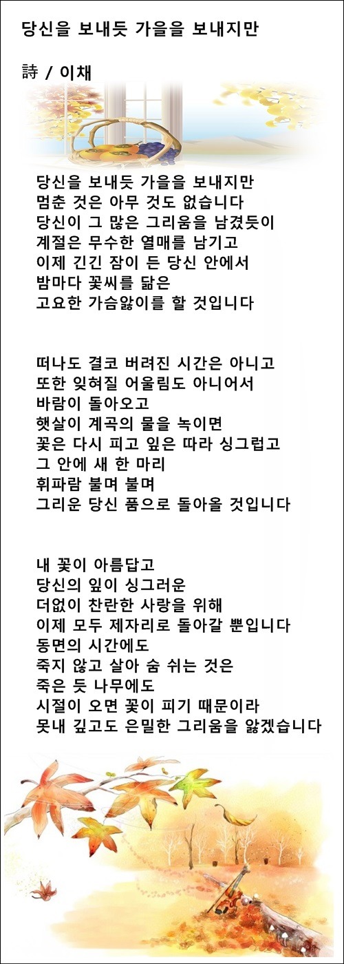 당신을 보내듯 가을을 보내지만, 창밖에 가을비가 내리네, 2편 / 이채시인