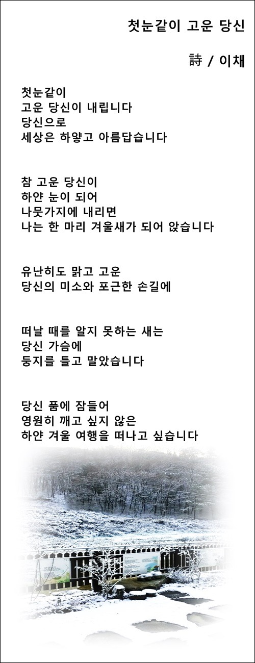 첫눈 같이 고운 당신, 첫눈 시 2편 / 이채시인