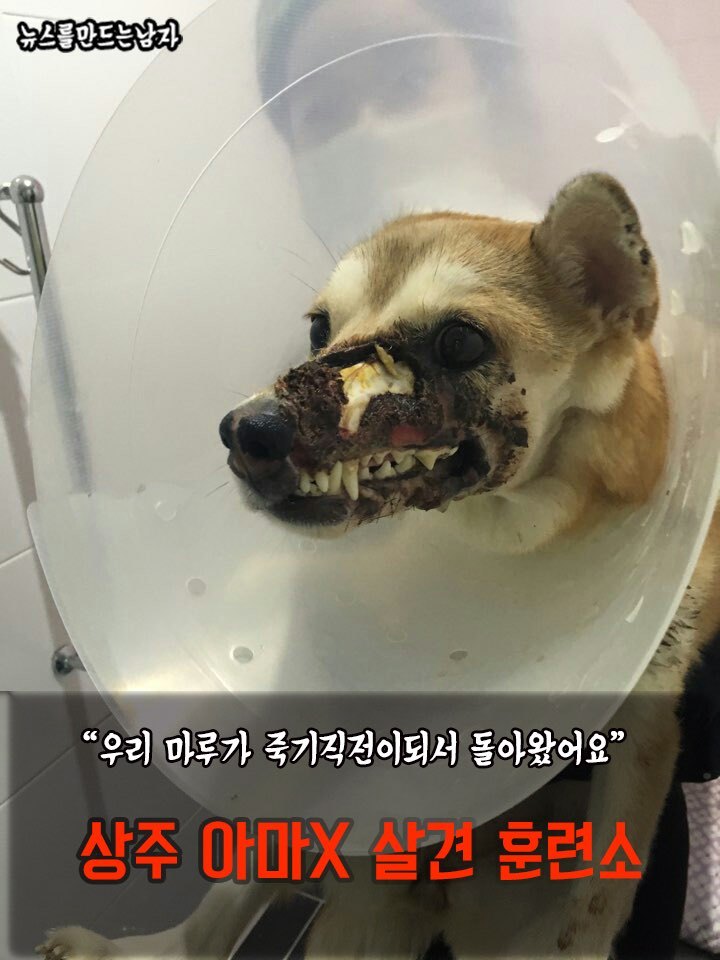 마루제이 이미지