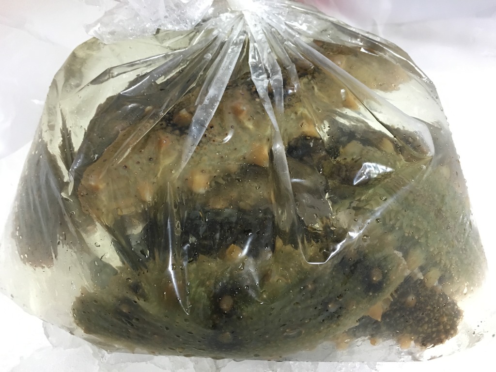 자연산 모둠회 그리고 해삼... | 인스티즈