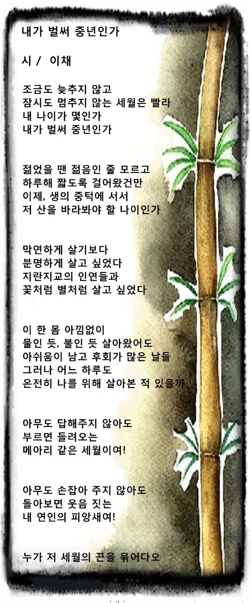 내가 벌써 중년인가 / 이채시인
