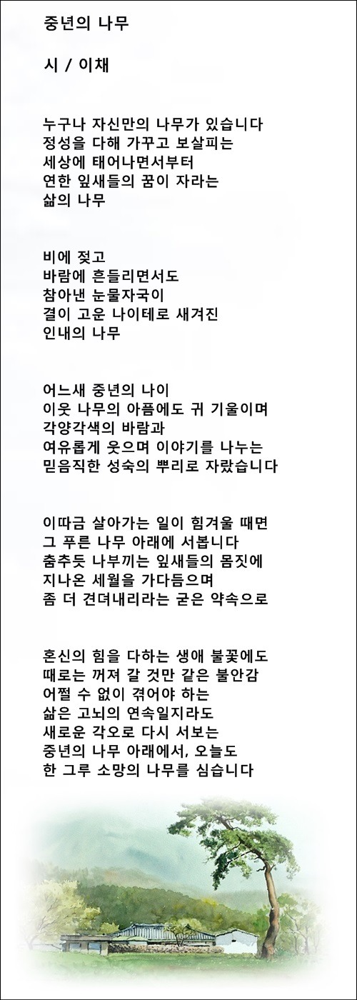 중년엔 가슴에서 꽃이 피어요, 등 중년시 4편 /이채시인