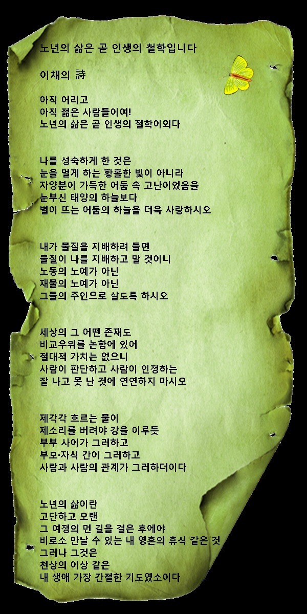 노년의 삶은 곧 인생의 철학입니다 / 이채시인