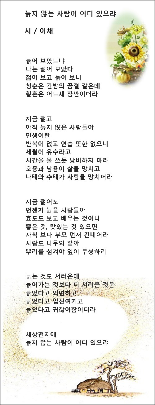 노년의 삶은 곧 인생의 철학입니다 / 이채시인
