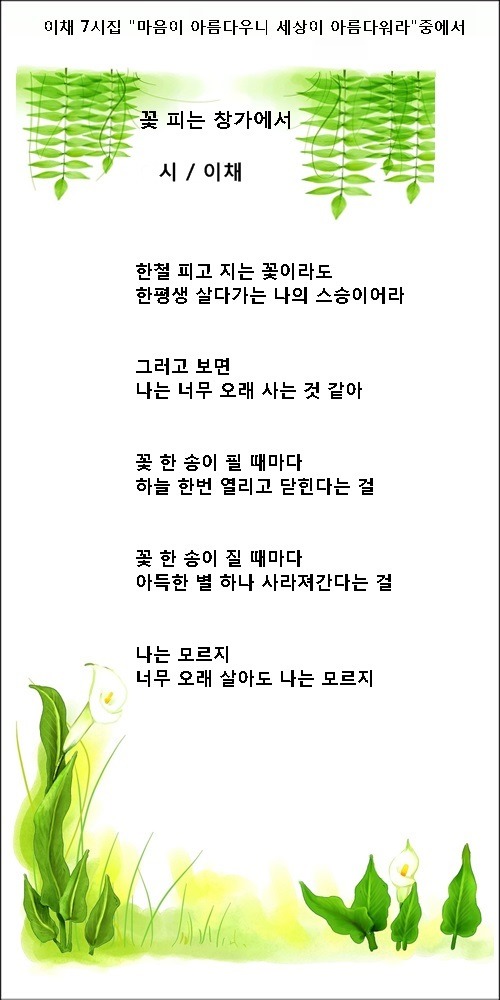 꽃 피는 창가에서, 꽃 피는 봄이 오면, 등 3편 / 이채시인