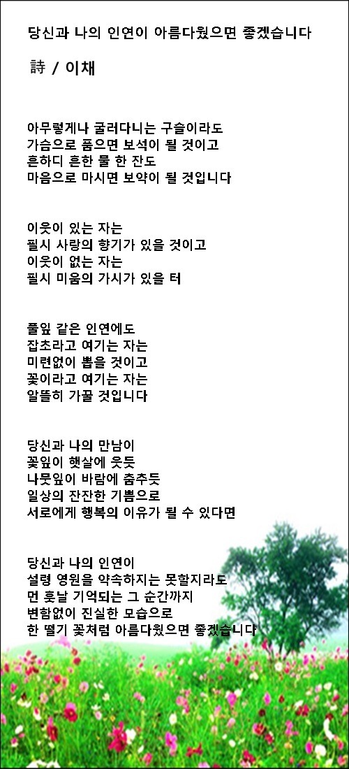 이채3 이미지
