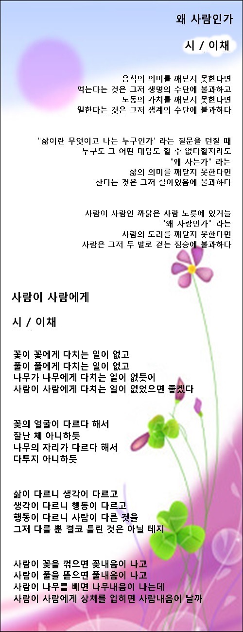 사람의 꽃이 되고 싶다 / 이채시인