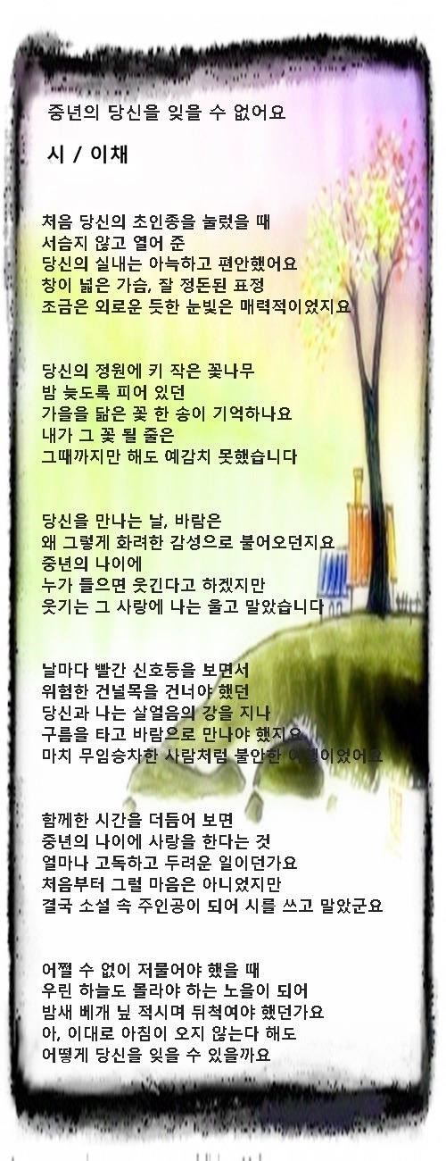 중년에 잊을 수 없는 당신, 등 3편 / 이채시인