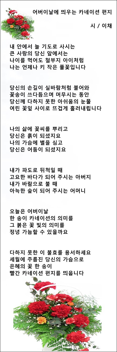 어버이날에 띄우는 카네이션 편지, 등 4편 / 이채시인