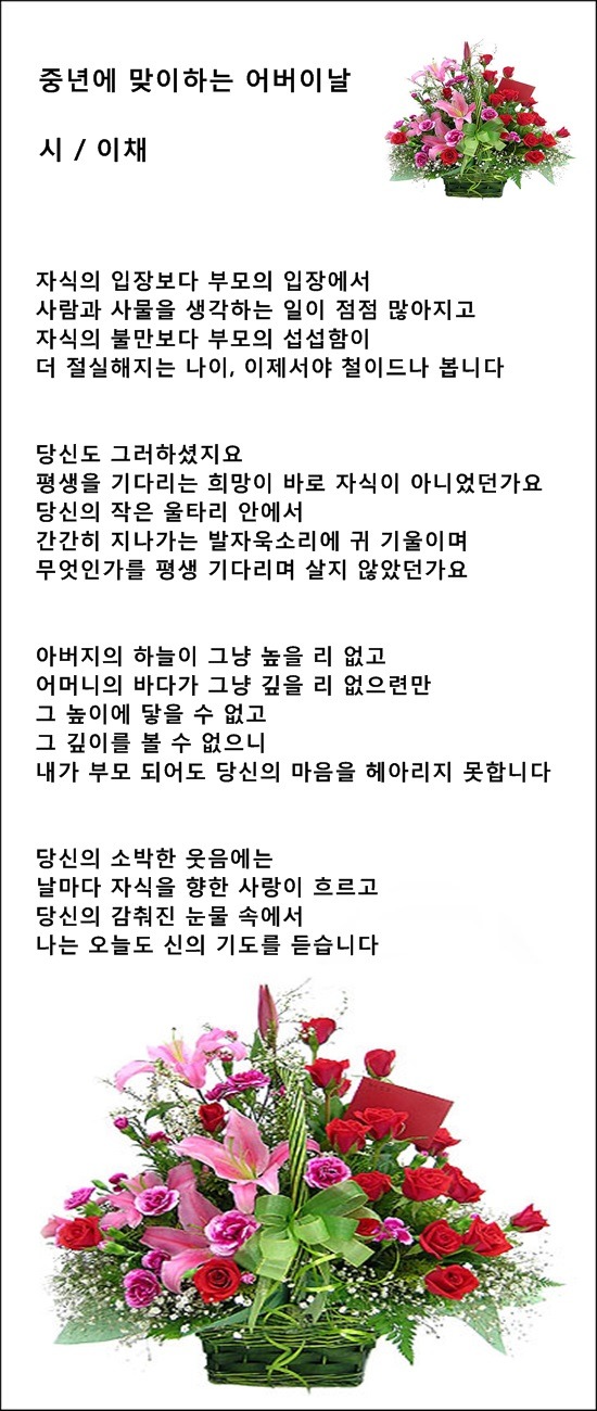 어버이날에 띄우는 카네이션 편지, 등 4편 / 이채시인