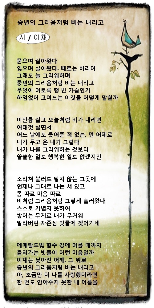 어느 날의 비와 중년, 등 중년시 3편 / 이채시인