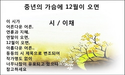 중년의 가슴에 12월이 오면 / 이채시인