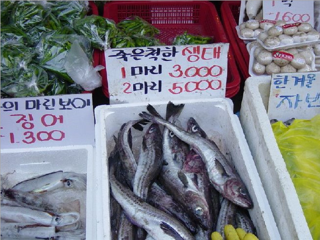 생선장수 이미지