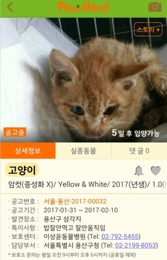  추운 날씨에도 버려지는 강아지들이 너무 많네요..ㅠㅠ | 인스티즈