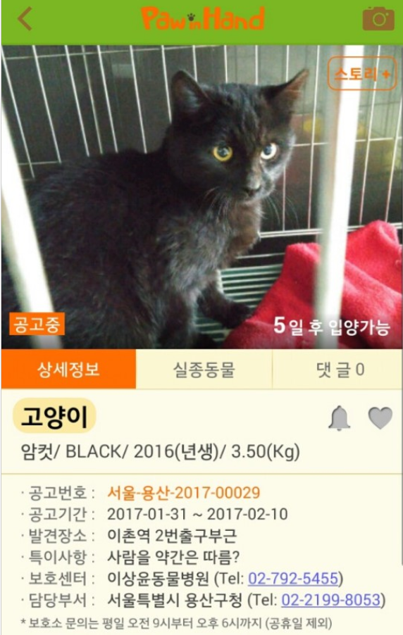  추운 날씨에도 버려지는 강아지들이 너무 많네요..ㅠㅠ | 인스티즈