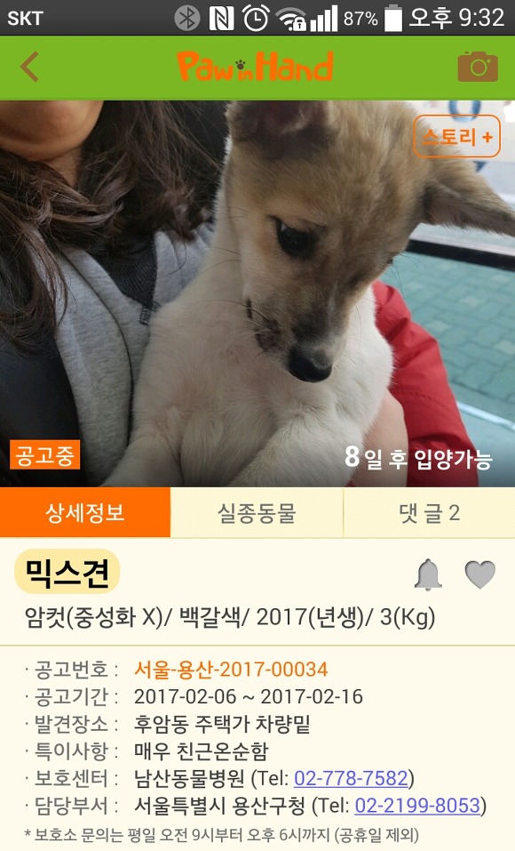  추운 날씨에도 버려지는 강아지들이 너무 많네요..ㅠㅠ | 인스티즈