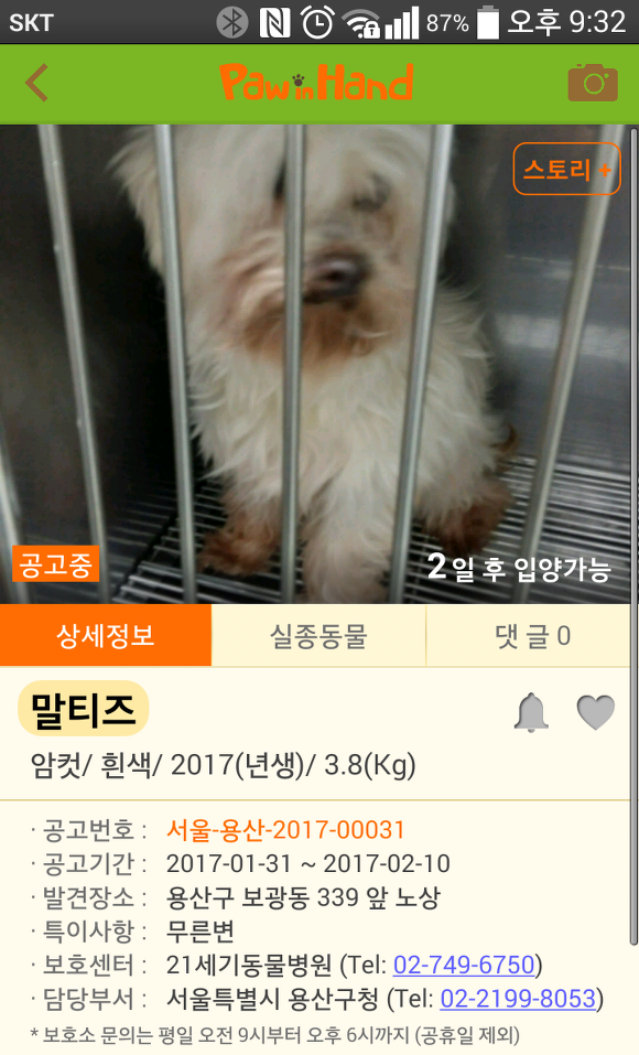  추운 날씨에도 버려지는 강아지들이 너무 많네요..ㅠㅠ | 인스티즈