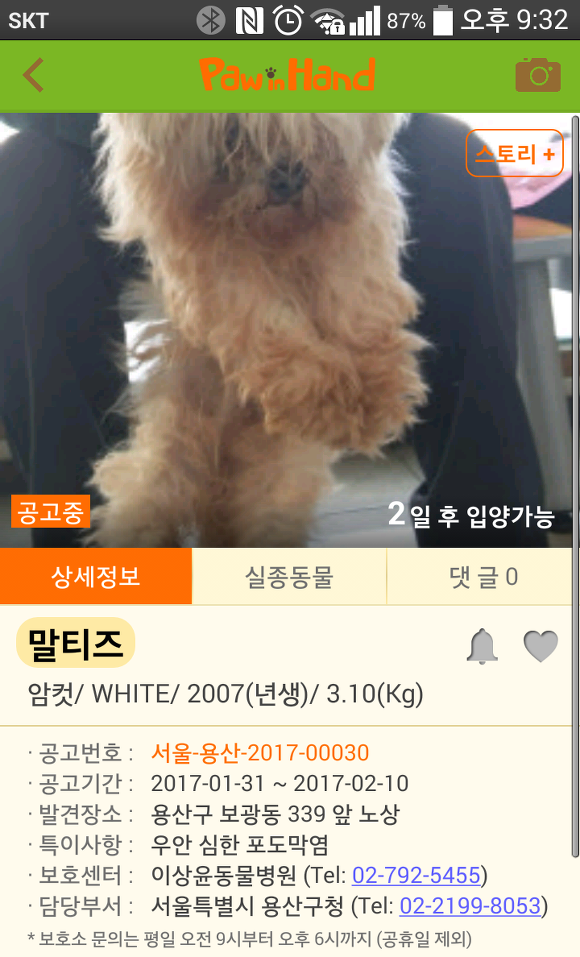  추운 날씨에도 버려지는 강아지들이 너무 많네요..ㅠㅠ | 인스티즈