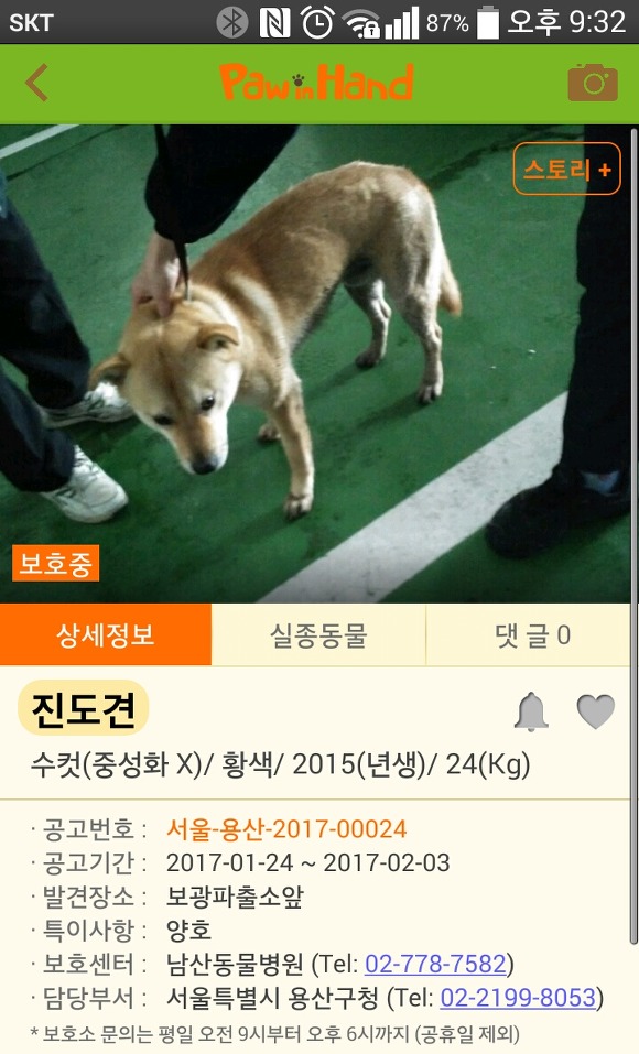  추운 날씨에도 버려지는 강아지들이 너무 많네요..ㅠㅠ | 인스티즈