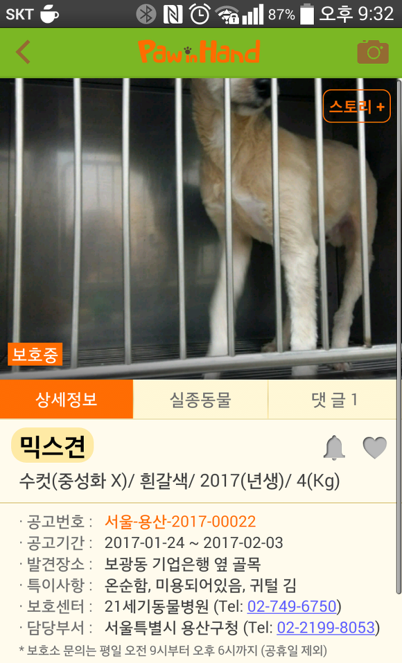  추운 날씨에도 버려지는 강아지들이 너무 많네요..ㅠㅠ | 인스티즈