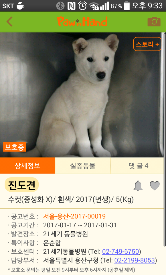  추운 날씨에도 버려지는 강아지들이 너무 많네요..ㅠㅠ | 인스티즈