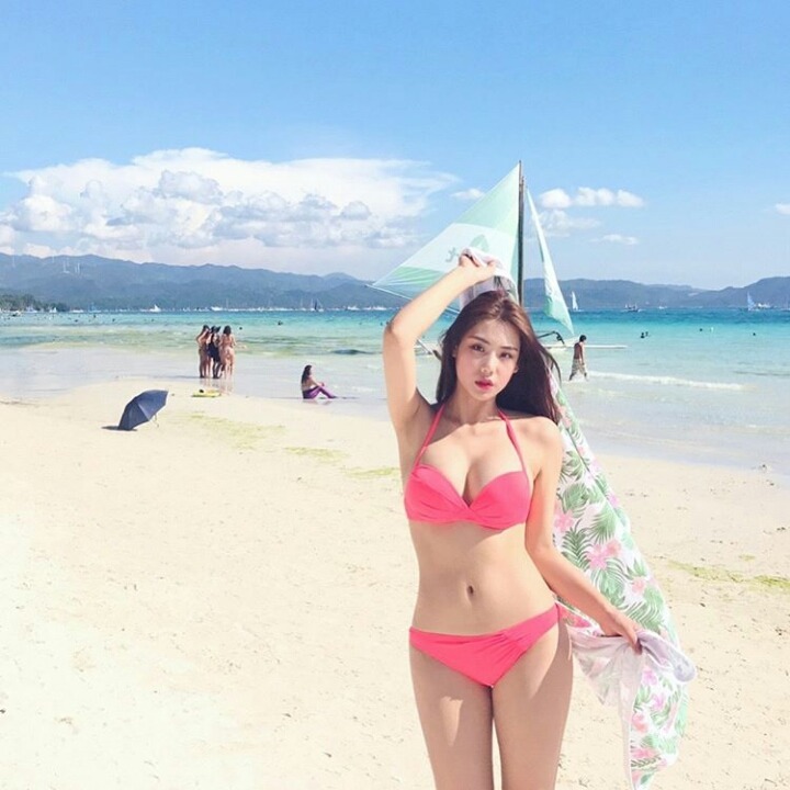정화 이미지