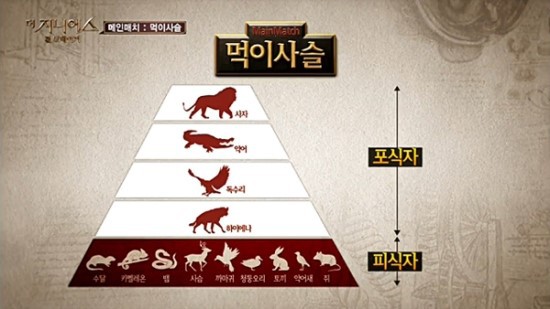 흙속의진주 이미지